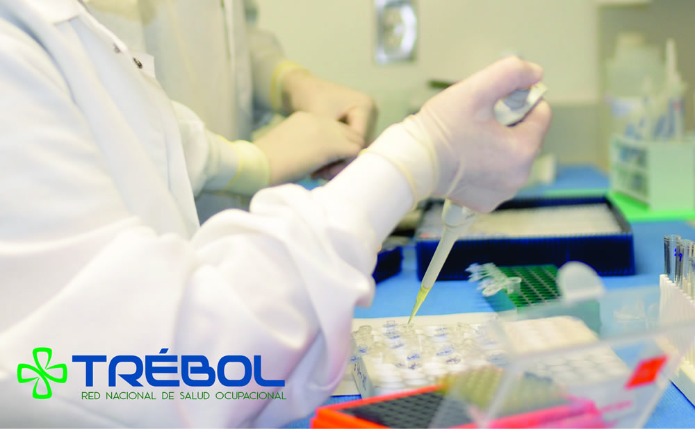 Laboratorio Trebol
