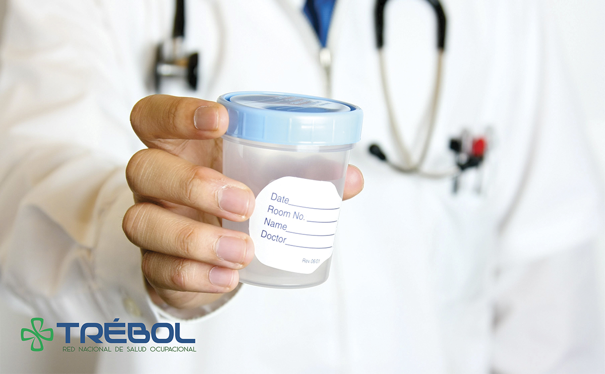 pruebas toxicologicas