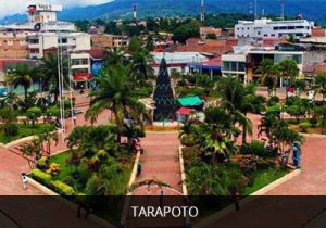 San Martín